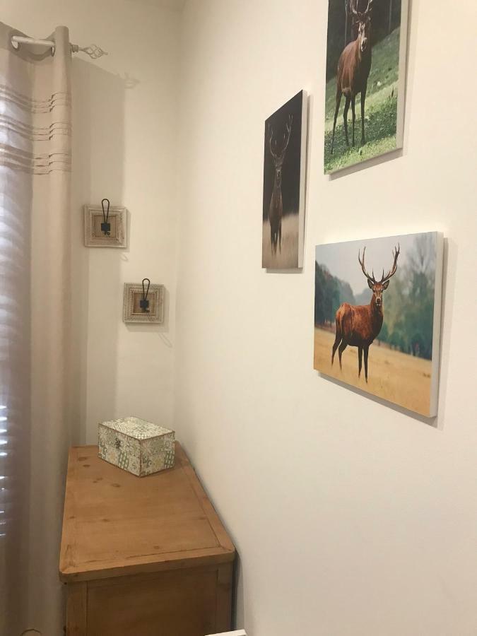 Apartament Neret II ซอร์ต ภายนอก รูปภาพ